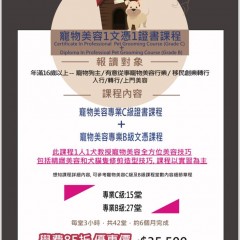 寵物美容1文憑1證書課程